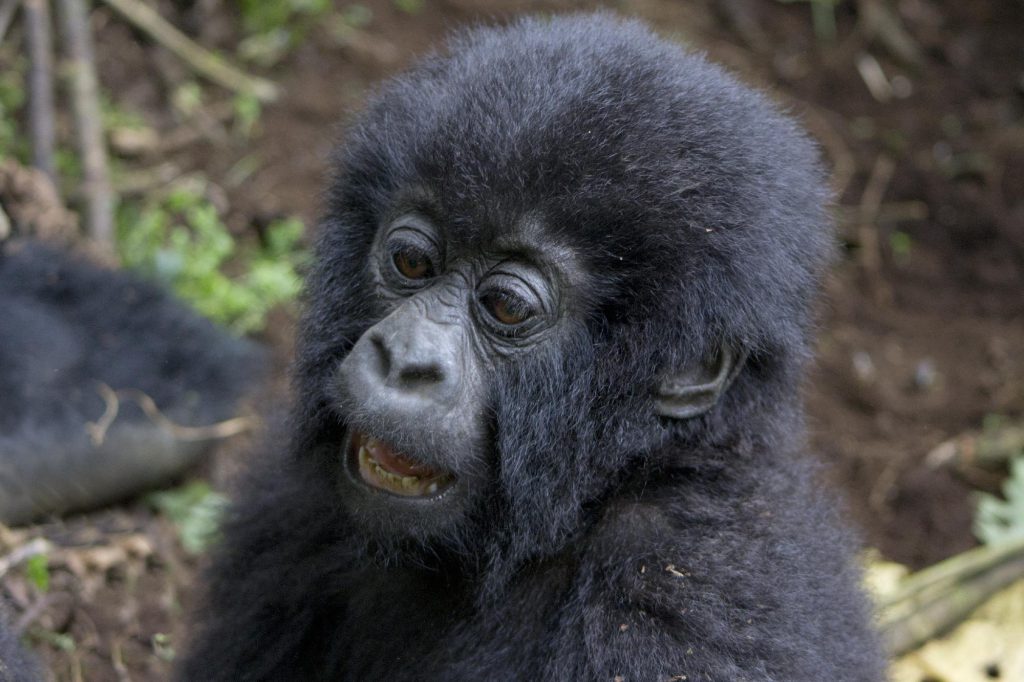 rwanda